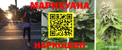 гашик Кунгур