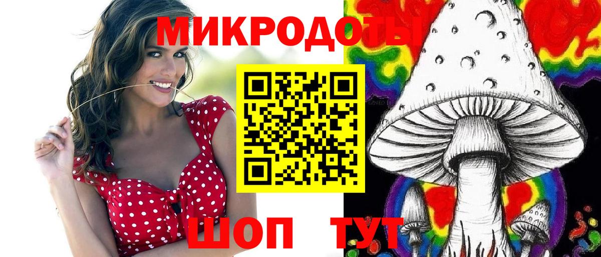 Галлюциногенные грибы Psilocybine cubensis Зеленодольск