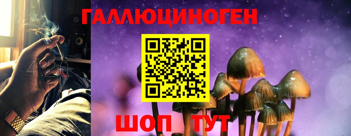 что такое   Вход с VPN  Зеленодольск  Галлюциногенные грибы Magic Shrooms 